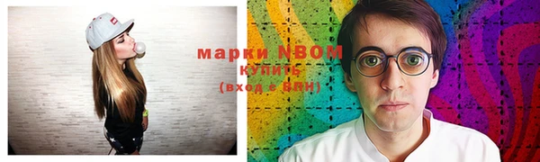 молекула духа Надым