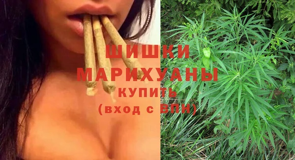 молекула духа Надым