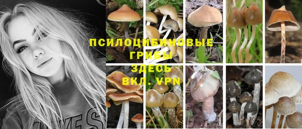 молекула духа Надым